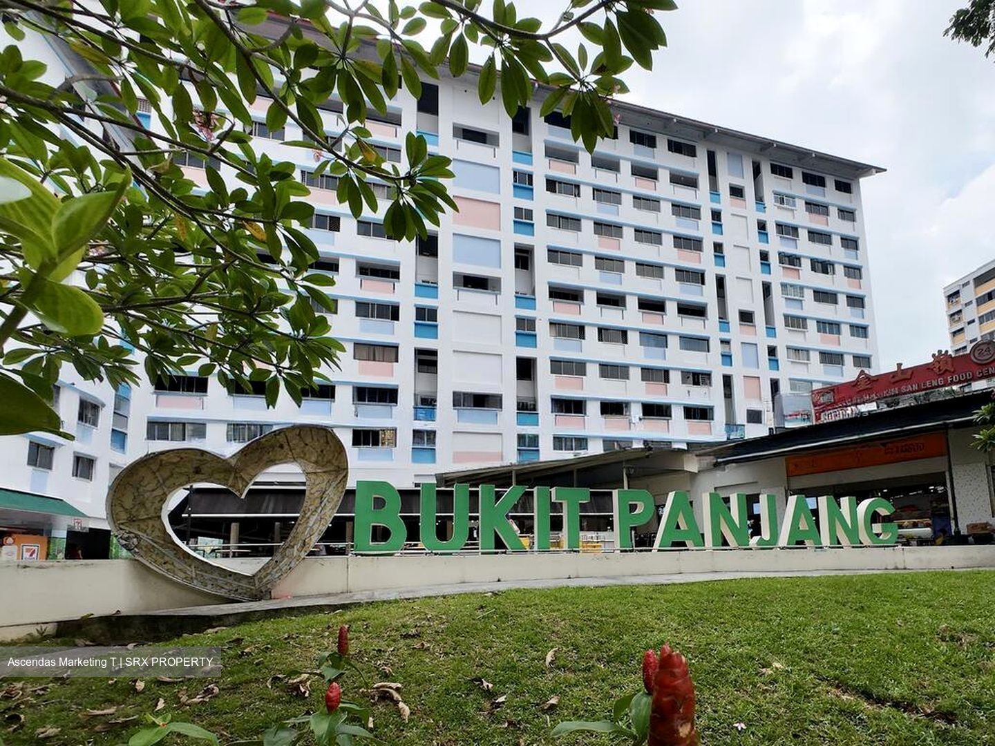 Blk 203 Petir Road (Bukit Panjang), HDB 4 Rooms #498891241